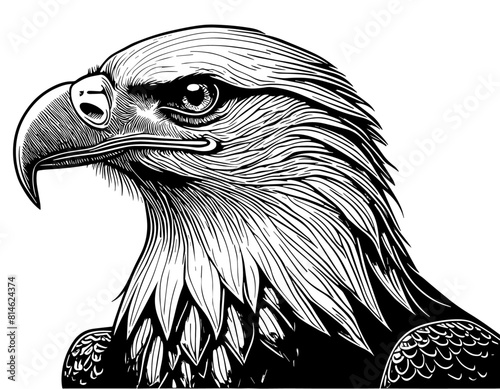 Aigle, profil, icone, dessin vectoriel, noir et blanc, gravure ancienne, fond blanc