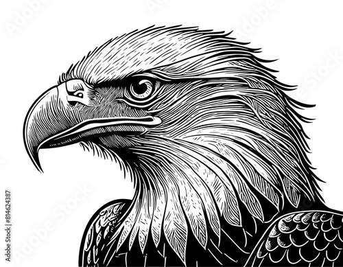 Aigle, profil, icone, dessin vectoriel, noir et blanc, gravure ancienne, fond blanc
