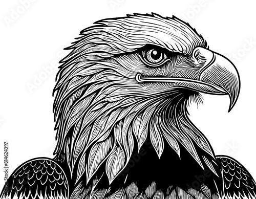 Aigle, profil, icone, dessin vectoriel, noir et blanc, gravure ancienne, fond blanc