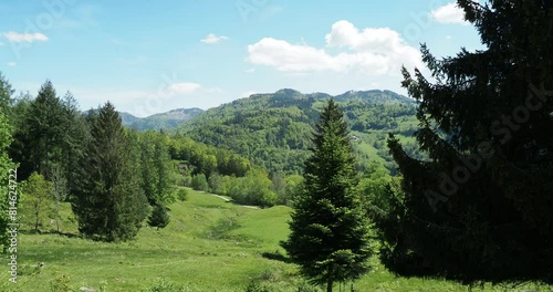  Rund um Schönau im Schwarzwald. Oberhalb des Letzbergweihers gesäumt von Weidberge und einen Hochwald mit einer tollen Aussicht nach Philosophenweg und Michelrütte
 photo