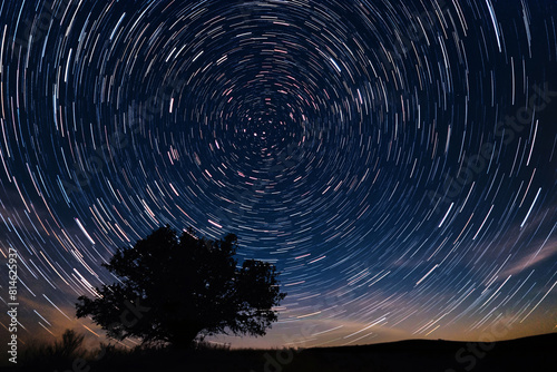 Nighttime time-lapse captures circular star trails and a stunning shooting star above a solitary tree's silhouette