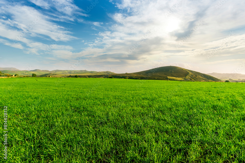 green landscape of spring field with green young grass and amazing hills on background green landscape of spring field with green young grass and amazing hills on background