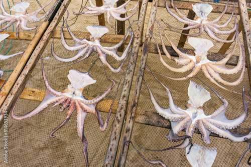 Octopuses dries on a net