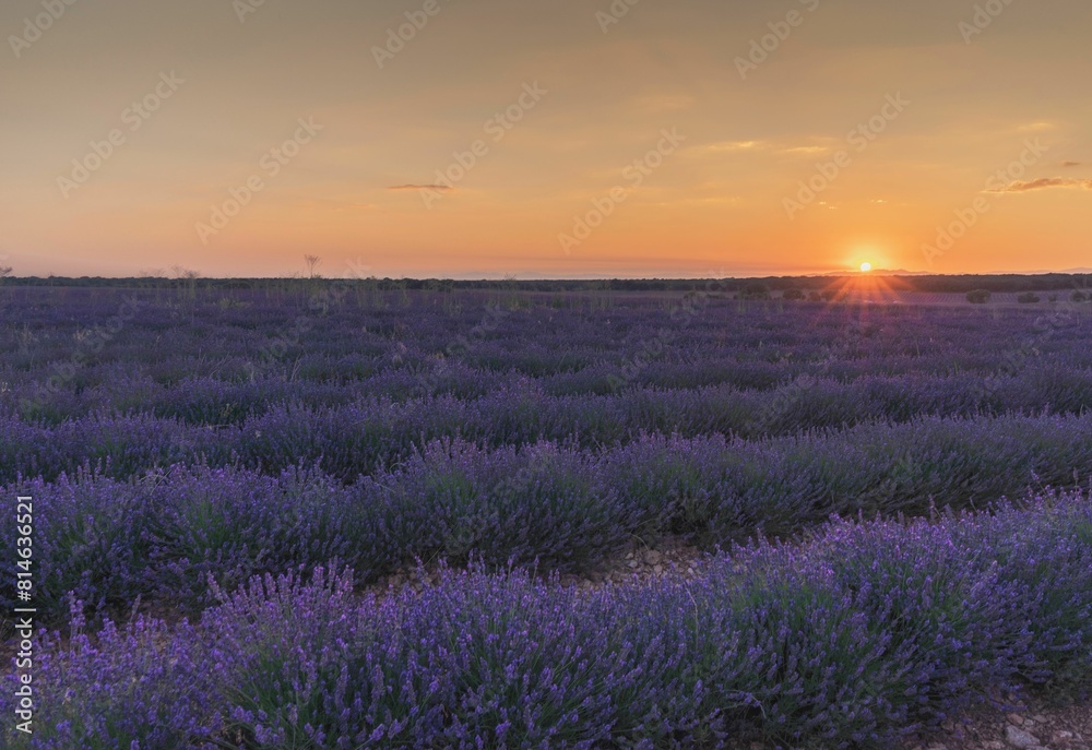 Spectacular sunset in Brihuega amidst lavender fields in July, Spain. Spectacular sunset in Brihuega amidst lavender fields in July, Spain.