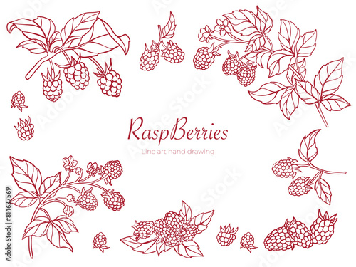 Vector Hand Drawing Raspberrie Illustration Background.