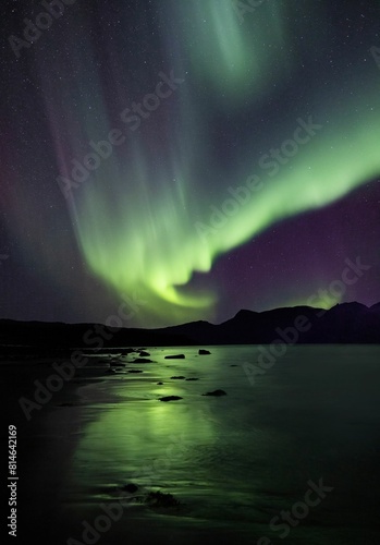 Vibrant green aurora illuminating the night sky in Northern Norway