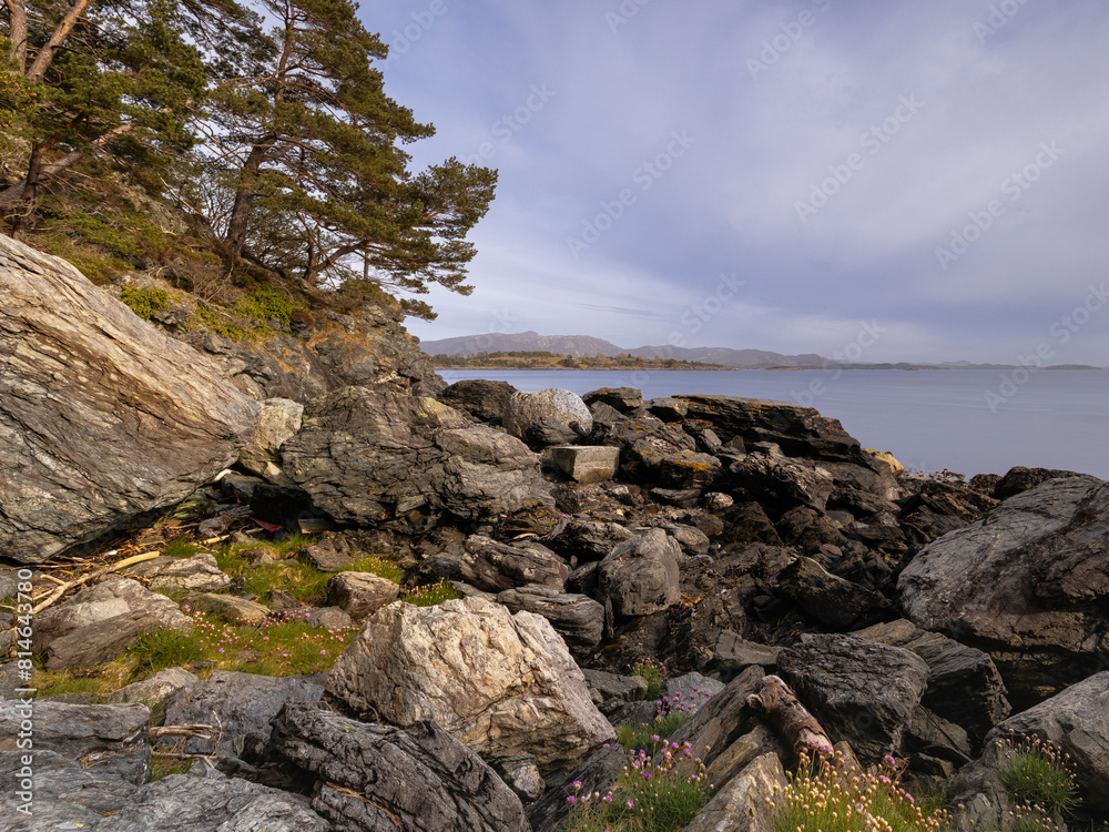 Sunset over the fjords among blooming flowers