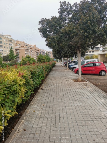 Walking along Alcala Galiano street in Puerto de Sagunto