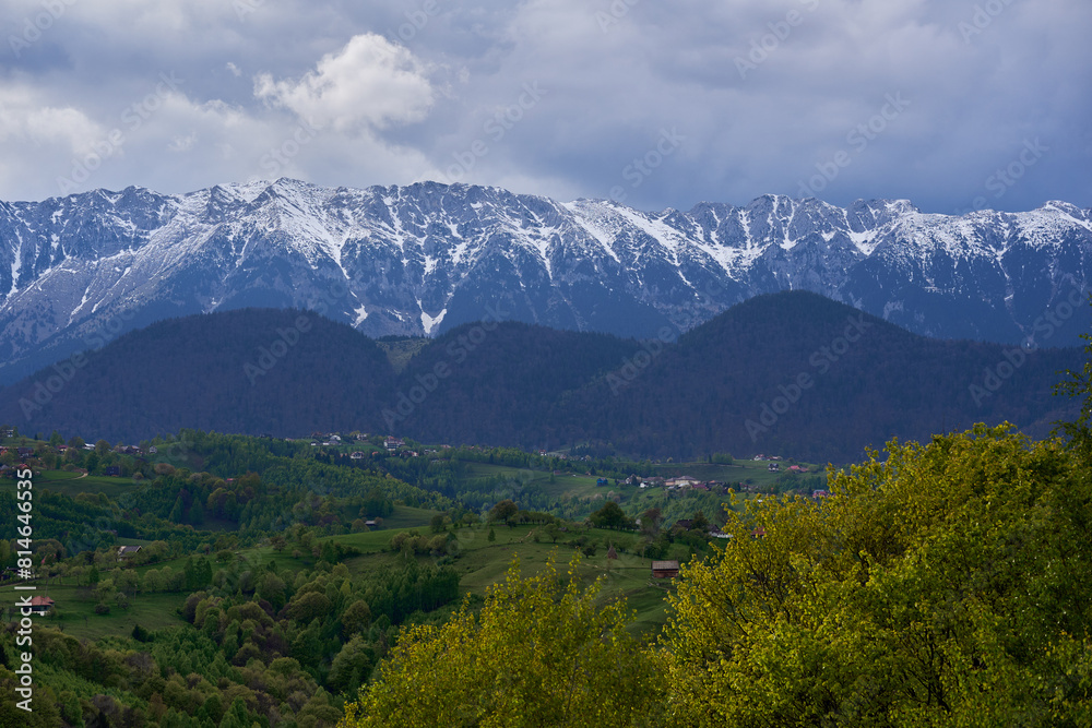 Mountains with snow and pine forests