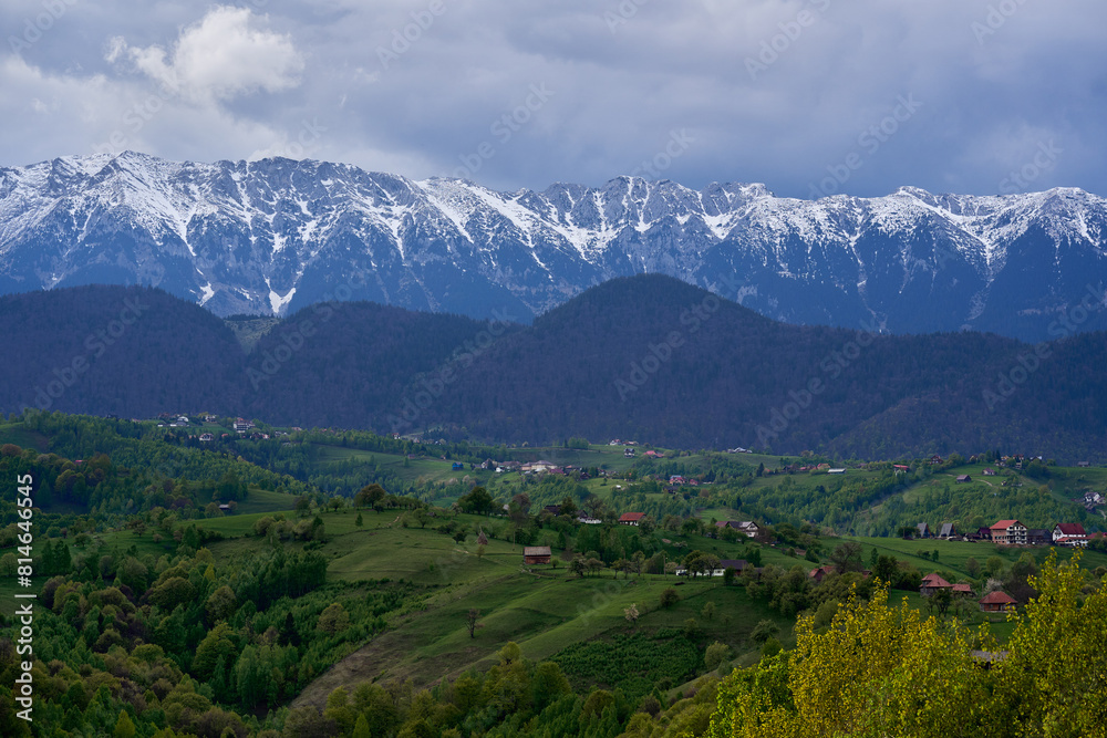 Mountains with snow and pine forests