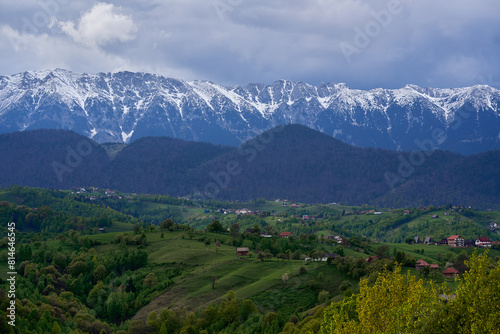 Mountains with snow and pine forests