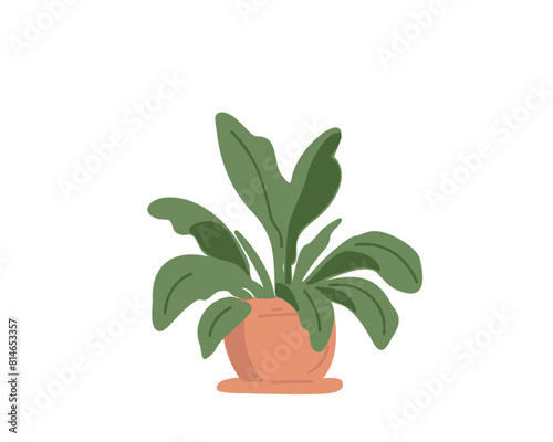 houseplant isolated on white background, flat vector illustration