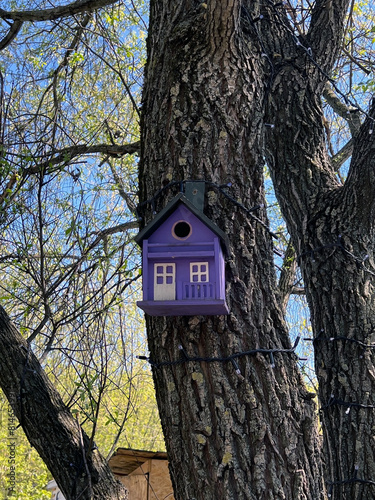 purple bird house on tree
