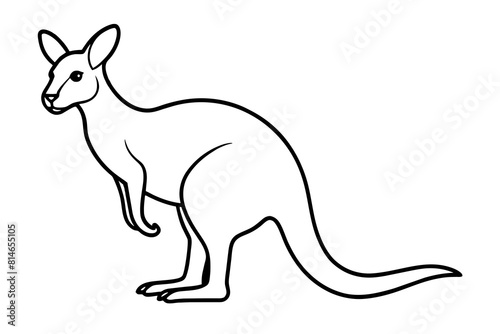 kangaroo line art silhouette illustration