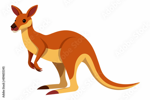 kangaroo cartoon vector illustration