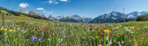 A field filled with a variety of wildflowers, including daisies, poppies, and lupines, stretches towards towering mountains in the distance. The vibrant colors of the flora contrast against the rugged