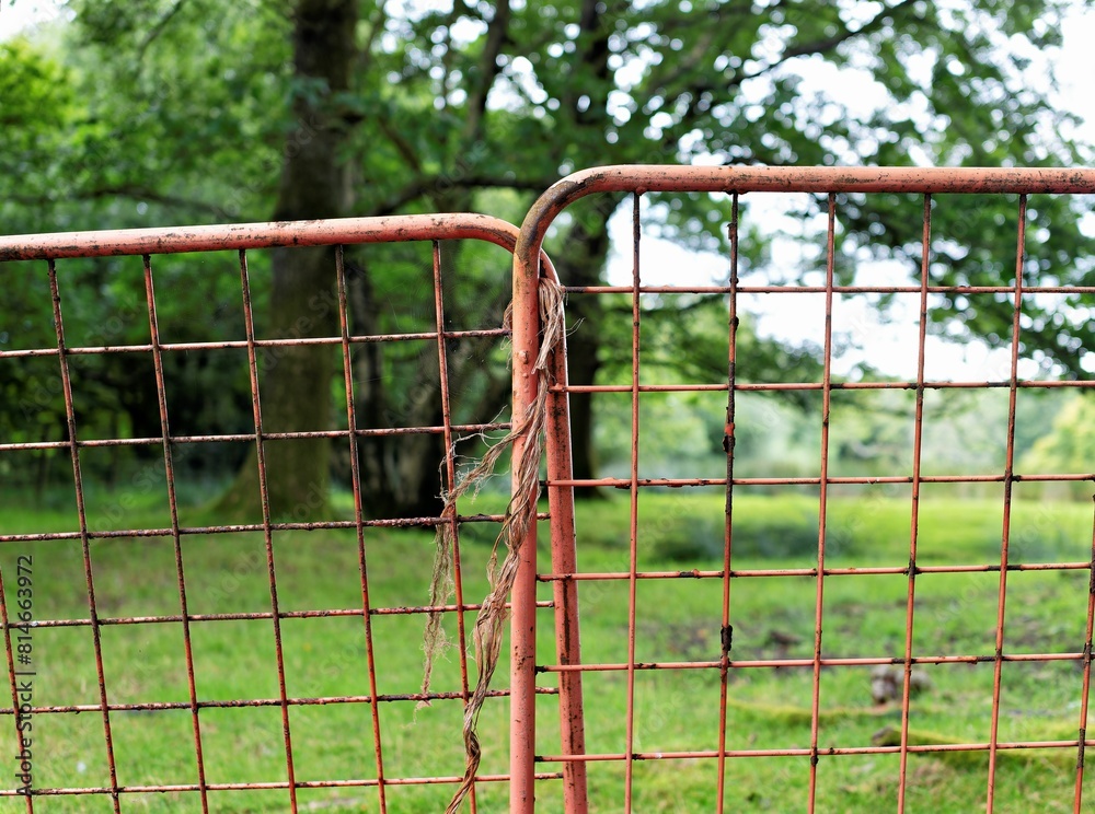 a rusty metal fence on grass covered field in a park a rusty metal fence on grass covered field in a park