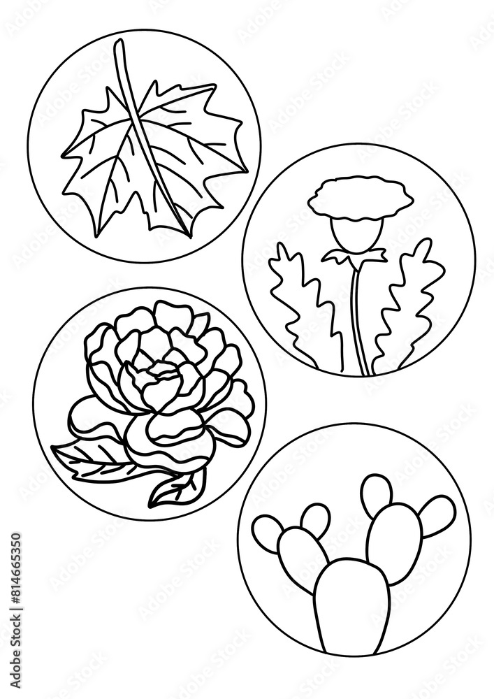 Set of animals and nature Set of animals and nature