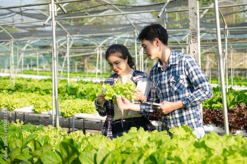  Asian couple of farmers inspects plants with a digital tablet In a greenhouse plantation.
