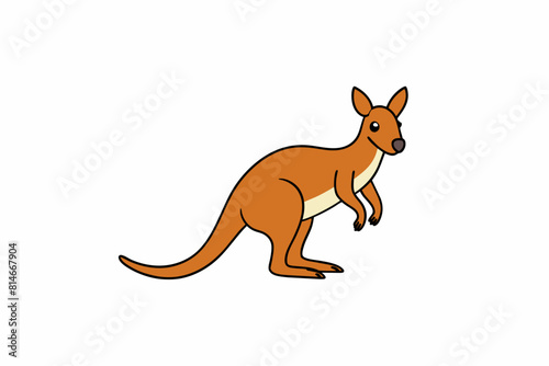 wallaby cartoon vector illustration