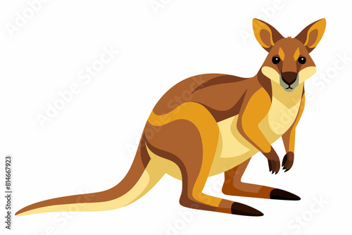 wallaby cartoon vector illustration