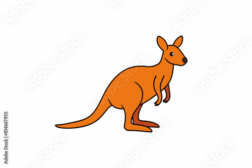 wallaby cartoon vector illustration