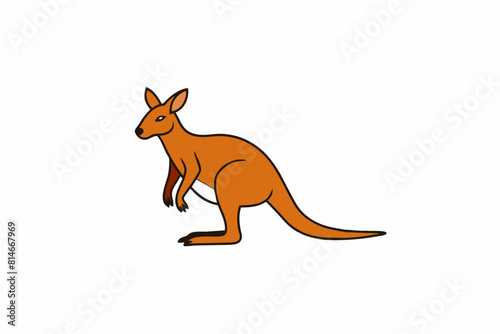 wallaby cartoon vector illustration