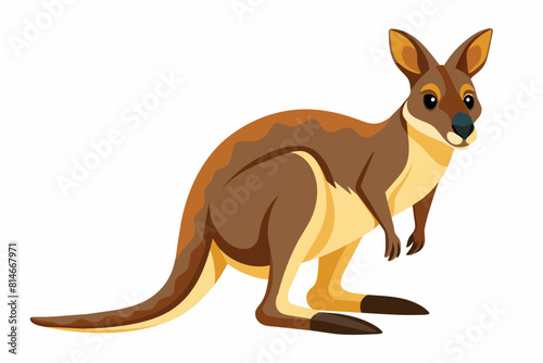 wallaby cartoon vector illustration