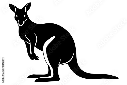 wallaby line art silhouette illustration