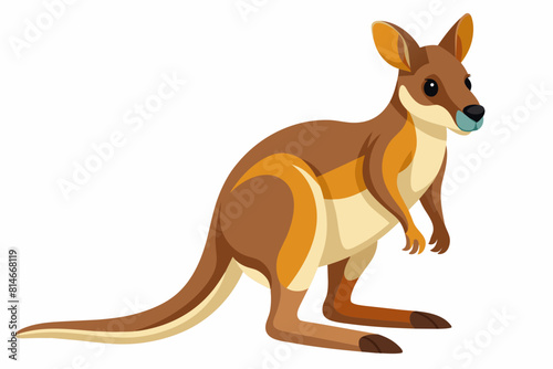 wallaby cartoon vector illustration