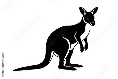 wallaby line art silhouette illustration