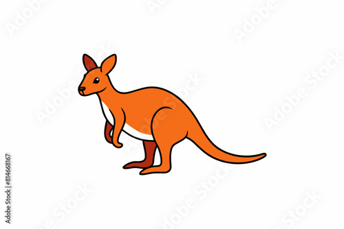 wallaby cartoon vector illustration