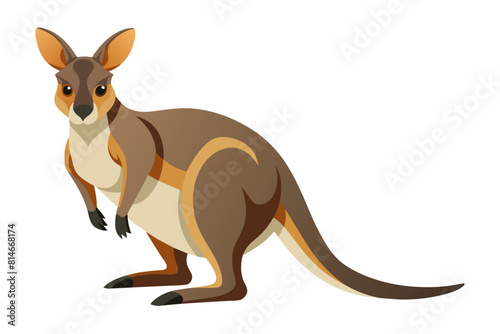 wallaby cartoon vector illustration