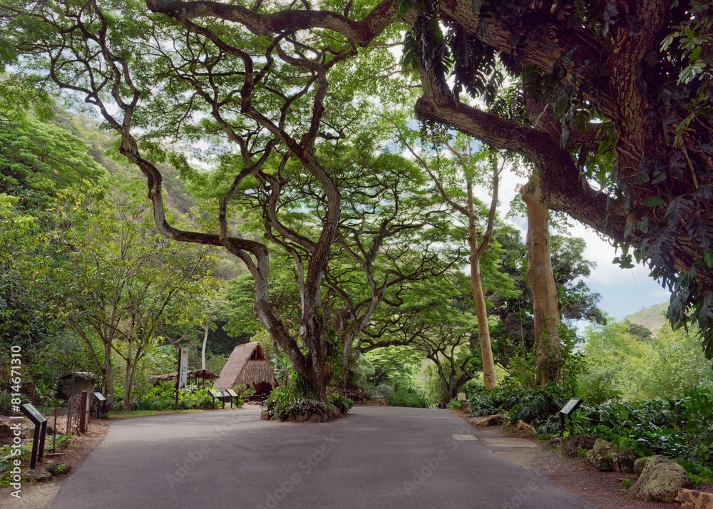 Obraz premium Scenic view of Waimea Valley on the Island of Oahu, Hawaii.
