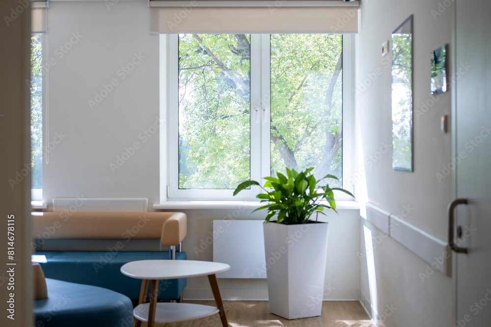 Fototapeta premium Bright room with light from the window, plants. Bright interior