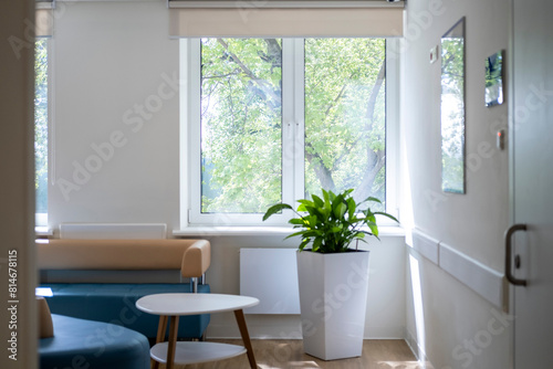 Bright room with light from the window  plants. Bright interior