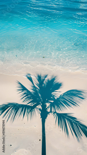 Shadow of tropical palm tree over a white sand beach seashore, summer holiday concept