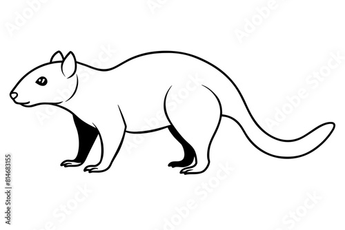 tasmanian devil cartoon vector illustration