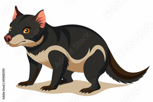 tasmanian devil cartoon vector illustration © Shiju Graphics