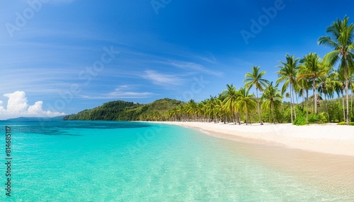 beach panorama with blue water and palm trees