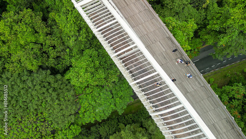 Canvas Print Aerial view of Henderson Waves Bridge in Singapore