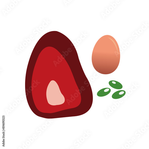 illustration meat, egg and bean vector as a source of protein in human body for food design, banner, etc.