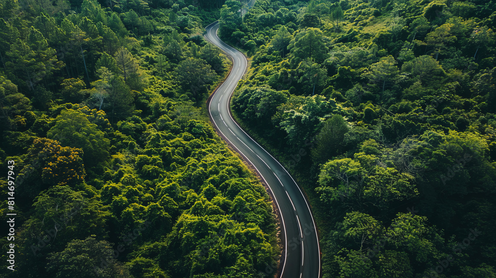 Winding road through lush green forest from a bird's-eye view Winding road through lush green forest from a bird's-eye view