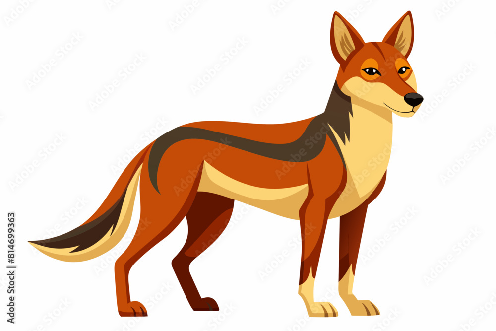 dingo cartoon vector illustration dingo cartoon vector illustration