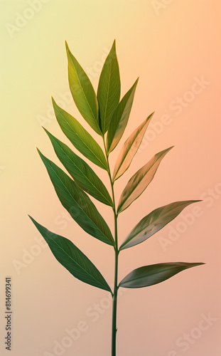 Sleek  minimalist photograph of three tropical leaves arranged neatly against a smooth  pastel-colored background  highlighting summer foliage. 