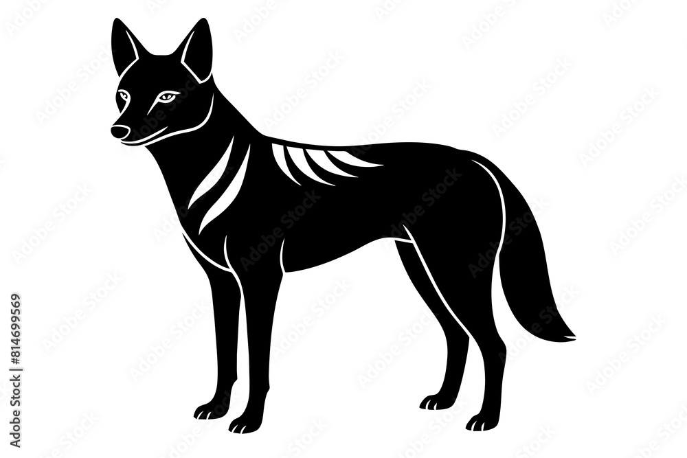 dingo line art silhouette illustration