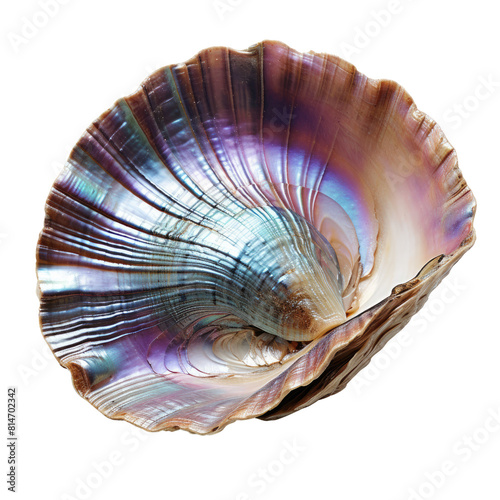 The image is a 3D render of a shiny abalone shell  with a beautiful iridescent glow.