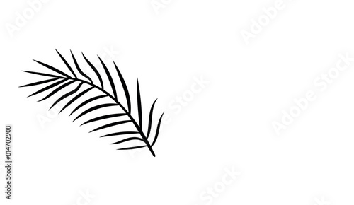 Stylized black and white palm frond silhouette.