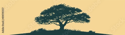 A large tree stands alone in a field