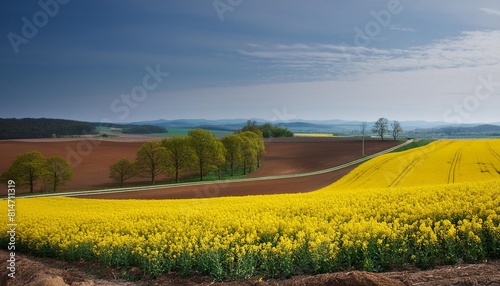 spring yellow fields